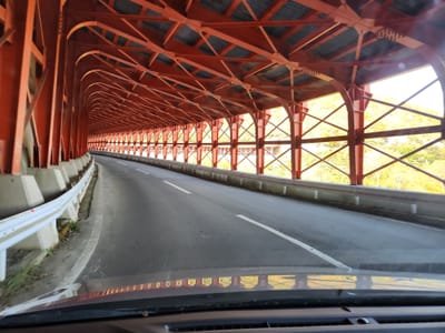 20241027_122951.jpg