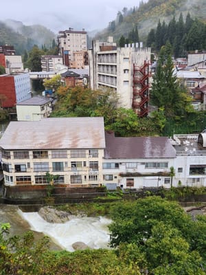 20241028_075723.jpg