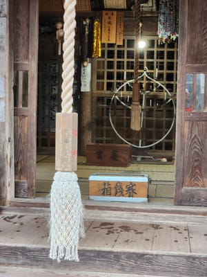 20241028_111440.jpg