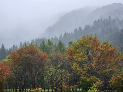 20241028_130536.jpg