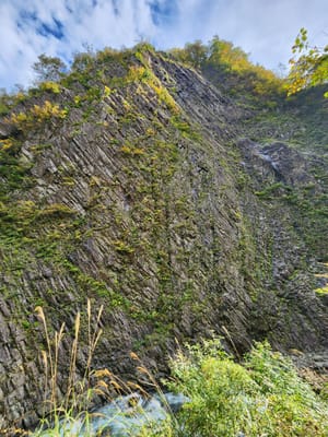 20241029_090708.jpg