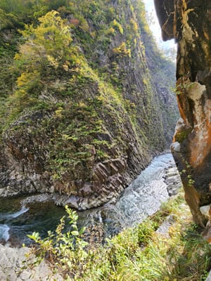 20241029_091253.jpg