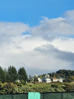 20241030_145047.jpg
