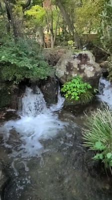 20241030_160449.mp4