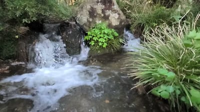20241030_160519.mp4