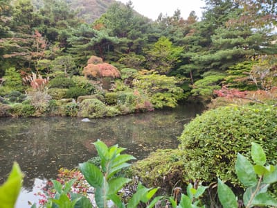 20241030_160909.jpg