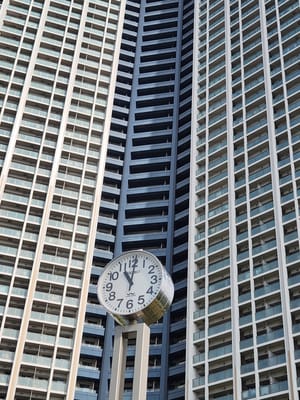 20241101_110137.jpg
