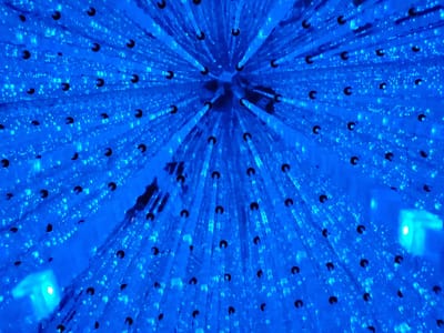 20241101_112840.jpg