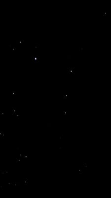 20241101_112919.mp4