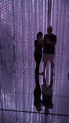 20241101_113533.mp4