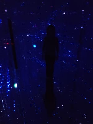 20241101_113741.jpg