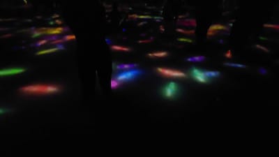 20241101_114037.mp4