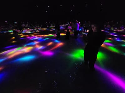 20241101_114136.jpg