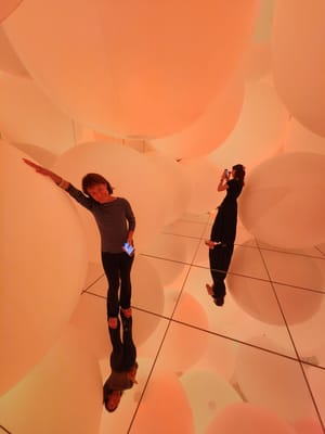 20241101_114642.jpg