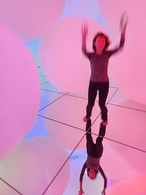 20241101_115019.jpg
