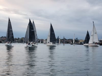 20241009_185234.jpg