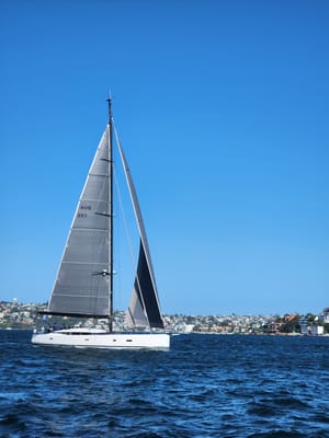 20241122_165249.jpg