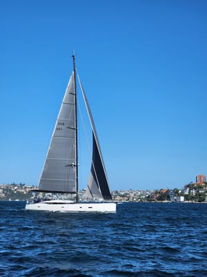 20241122_165252.jpg