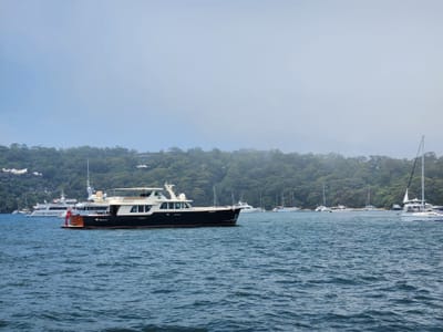 20241206_134931.jpg