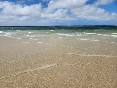 20241110_121645.jpg