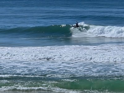 20250508_121217.jpg