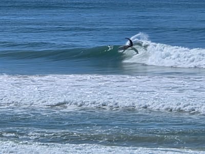 20250508_121220.jpg