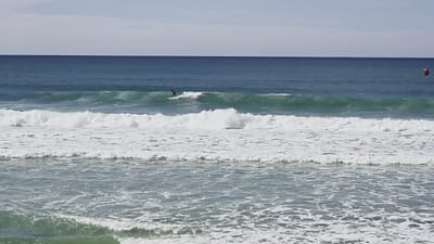 20250508_132449.mp4