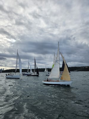 20250131_181734.jpg