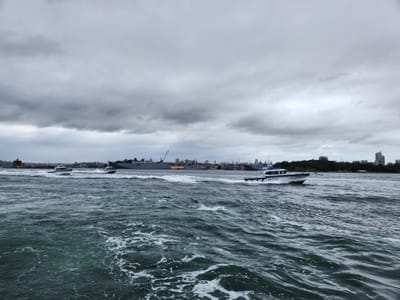 20250221_103421.jpg
