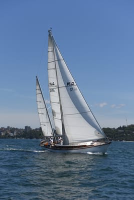 DSC_0033.JPG