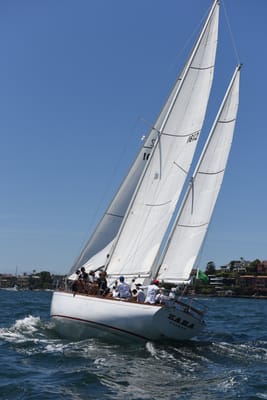 DSC_0037.JPG