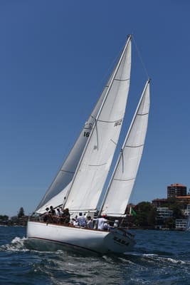 DSC_0038.JPG