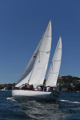 DSC_0040.JPG