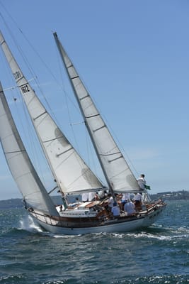 DSC_0053.JPG