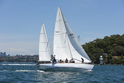 DSC_0071.JPG