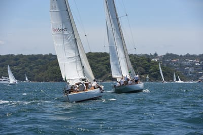 DSC_0095.JPG