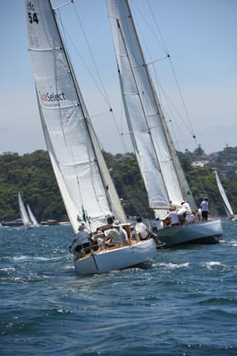 DSC_0096.JPG