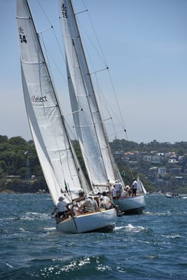 DSC_0098.JPG
