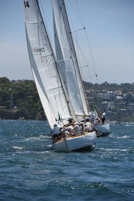 DSC_0099.JPG