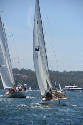 DSC_0100.JPG