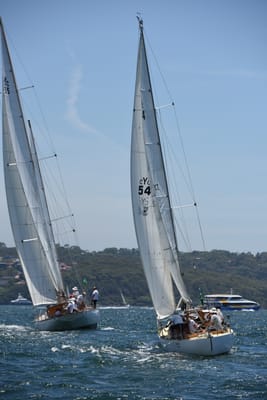 DSC_0101.JPG