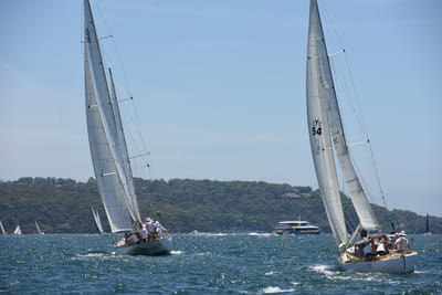 DSC_0102.JPG