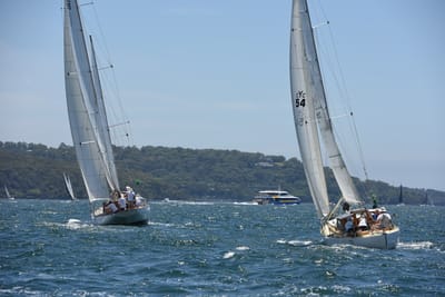 DSC_0103.JPG