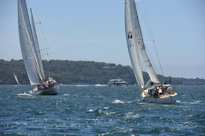 DSC_0104.JPG