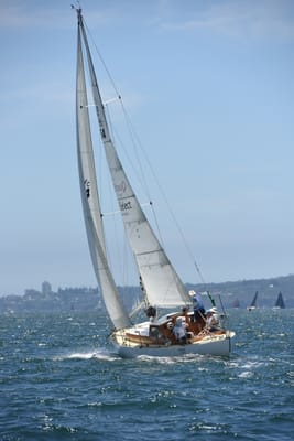 DSC_0105.JPG
