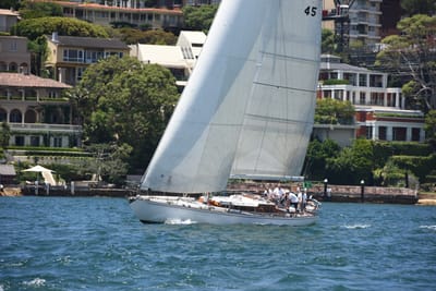 DSC_0106.JPG