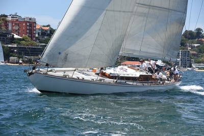 DSC_0114.JPG