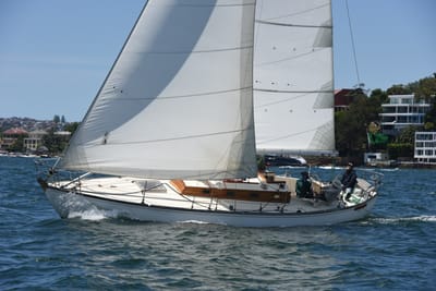 DSC_0122.JPG