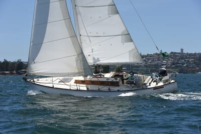 DSC_0123.JPG