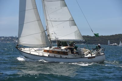 DSC_0125.JPG